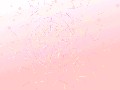 niftyXN[Z[o[2003N4