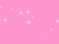 Pink Screensaver