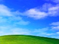 Windows XP