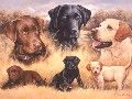 LABRADORS The Art of Larry Chandler