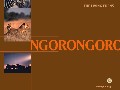 Ngotongoro-Africa's Crade of Life