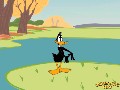 Daffy Screensaver