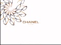 CHANEL VISION